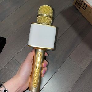 Handheld karaoke mic